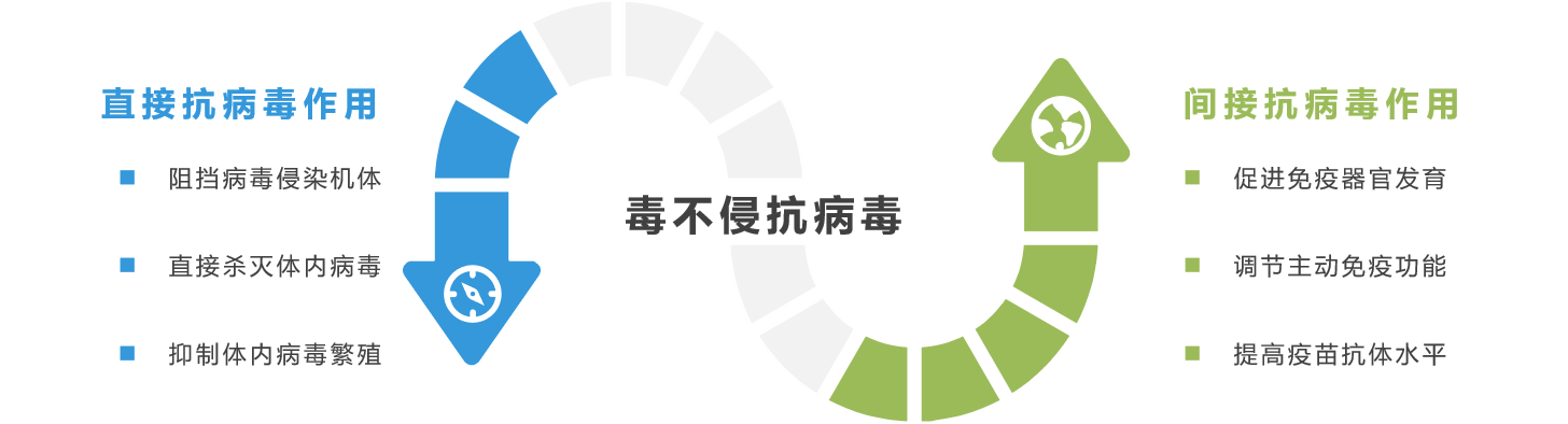 6115c977dbf8a